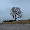 _MG_7025.JPG