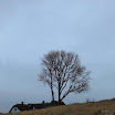 _MG_7027.JPG