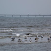 _MG_7148.JPG
