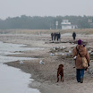 _MG_7184.JPG