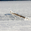 _MG_1428.jpg