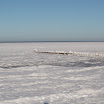 _MG_0363.jpg