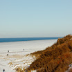 _MG_1474.jpg
