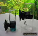 DIY aquarium projects