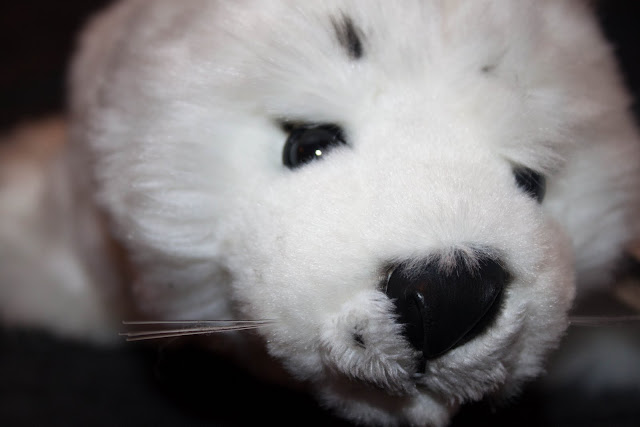 IMAGE: http://lh6.ggpht.com/_DZkpCgoYoRs/SxAd6CTBfkI/AAAAAAAABC4/7qvBBIer_Og/s640/IMG_0750.jpg