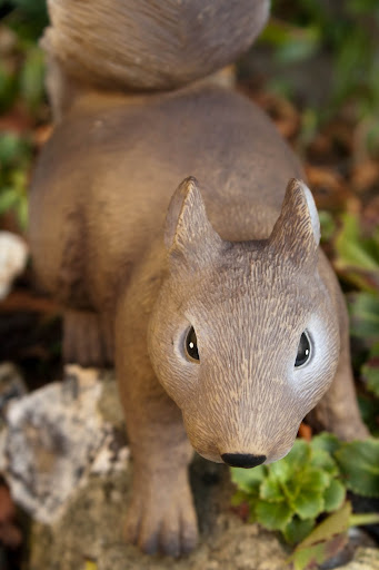 IMAGE: http://lh6.ggpht.com/_DZkpCgoYoRs/SxBMBJPJddI/AAAAAAAABEw/Qo5MBAtbSUk/s512/IMG_0848.jpg