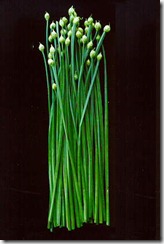 chinese garlic chives with flowers