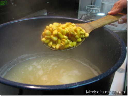 NIXTAMAL NIXTAMAL