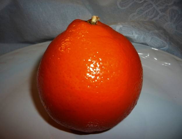 [clip_image0173.jpg]