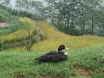 PB140031.JPG