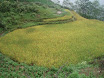 PB140033.JPG