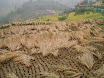 PB140035.JPG