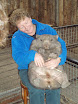 wombat.jpg