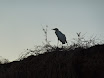 P1010552.JPG