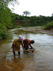 chercheurs d'or dans la riviere.JPG