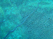 P4240168.JPG
