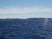 P7310027.JPG