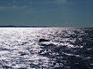 P7310028.JPG