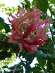 P1010066.JPG