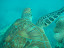 P7130250.JPG