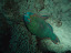P7120183.JPG