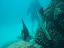 P7120187.JPG