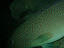 P7120178.JPG