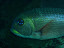 P7120014.JPG