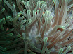 P9210054.JPG