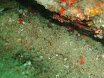 P9220158.JPG