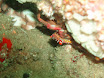 P9220159.JPG