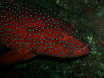 P9220161.JPG