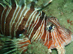 P9220173.JPG