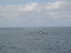 P9210020.JPG