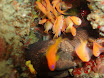 P9220132.JPG