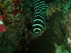 P9220133.JPG