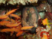 P9220136.JPG