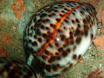 P9220139.JPG