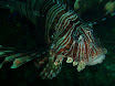 P9210071.JPG