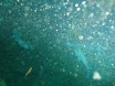 P9130008.JPG