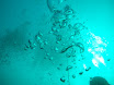 P9130043.JPG