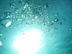 P9130048.JPG
