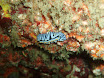 P9220146.JPG