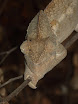 P1010800.JPG