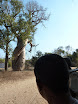 P1010833.JPG
