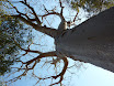 P1010837.JPG