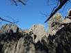 P1010716.JPG