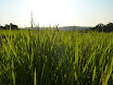 P1010679.JPG