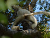 P1010651.JPG