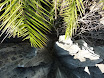 P1010623.JPG